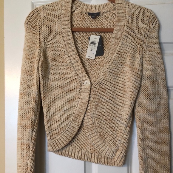 Ann Taylor Sweaters Nwt Ann Taylor Sweater Poshmark(02)
